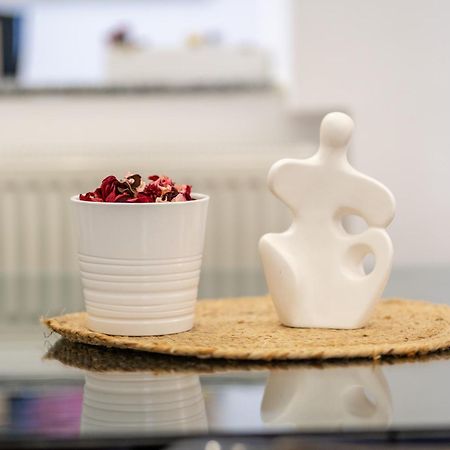 Cozy Spacious 5 Star Accommodation In The Heart Of Historic Center Κλουζ-Ναπόκα Εξωτερικό φωτογραφία