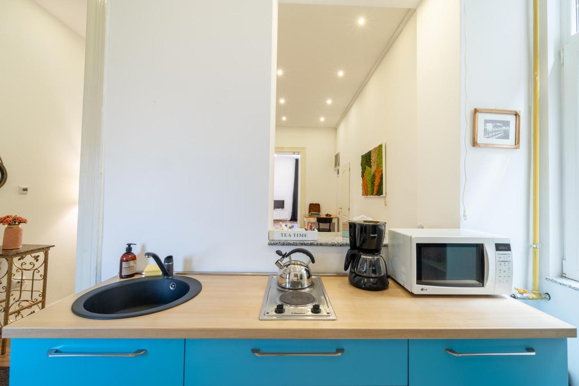Cozy Spacious 5 Star Accommodation In The Heart Of Historic Center Κλουζ-Ναπόκα Εξωτερικό φωτογραφία
