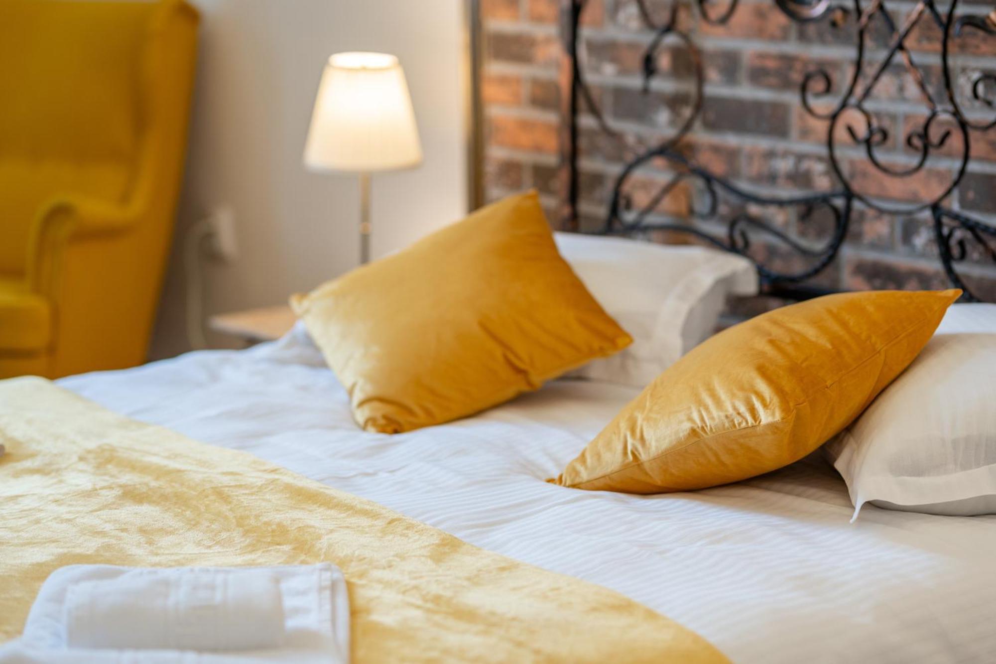 Cozy Spacious 5 Star Accommodation In The Heart Of Historic Center Κλουζ-Ναπόκα Εξωτερικό φωτογραφία