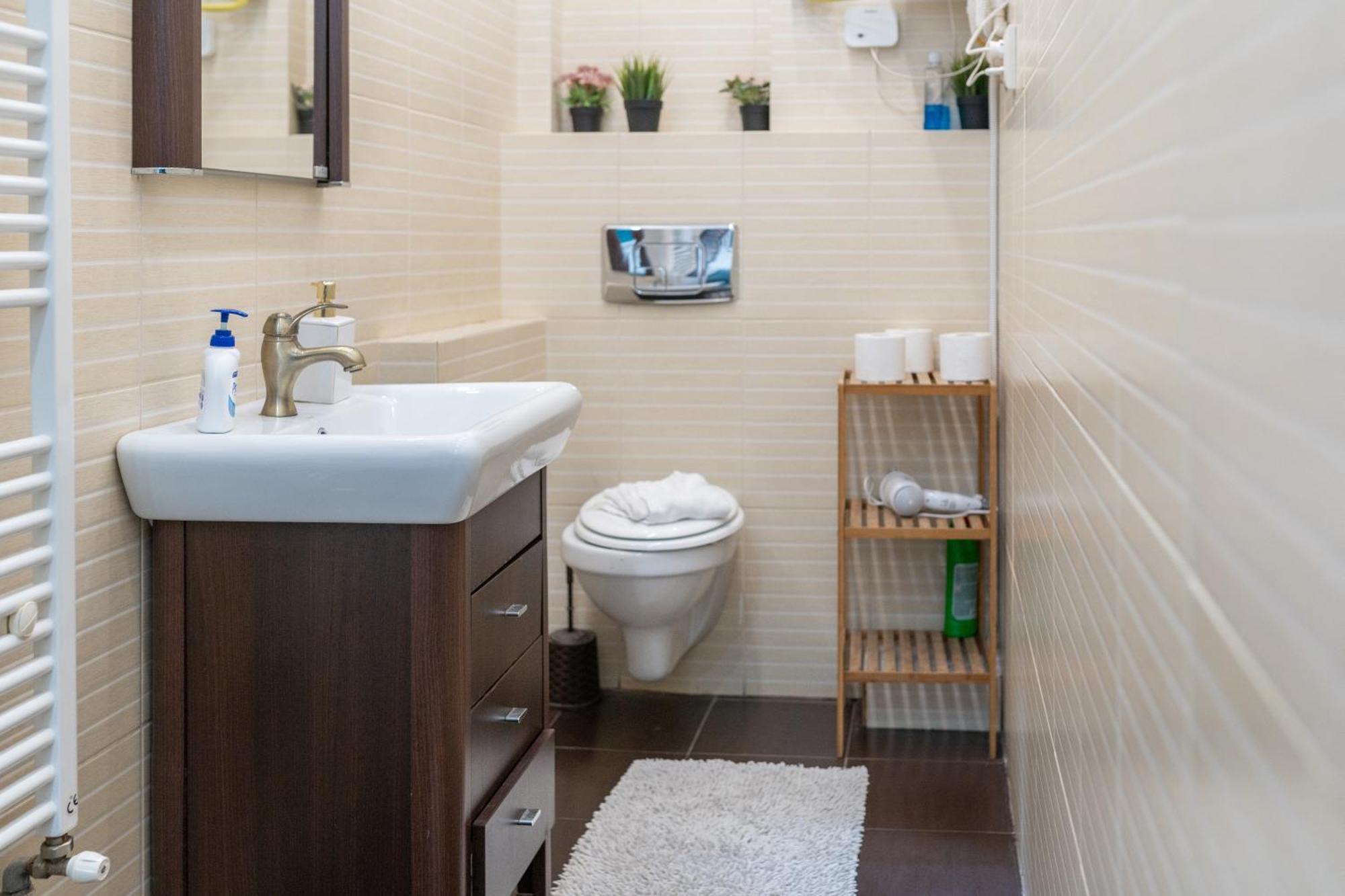 Cozy Spacious 5 Star Accommodation In The Heart Of Historic Center Κλουζ-Ναπόκα Εξωτερικό φωτογραφία