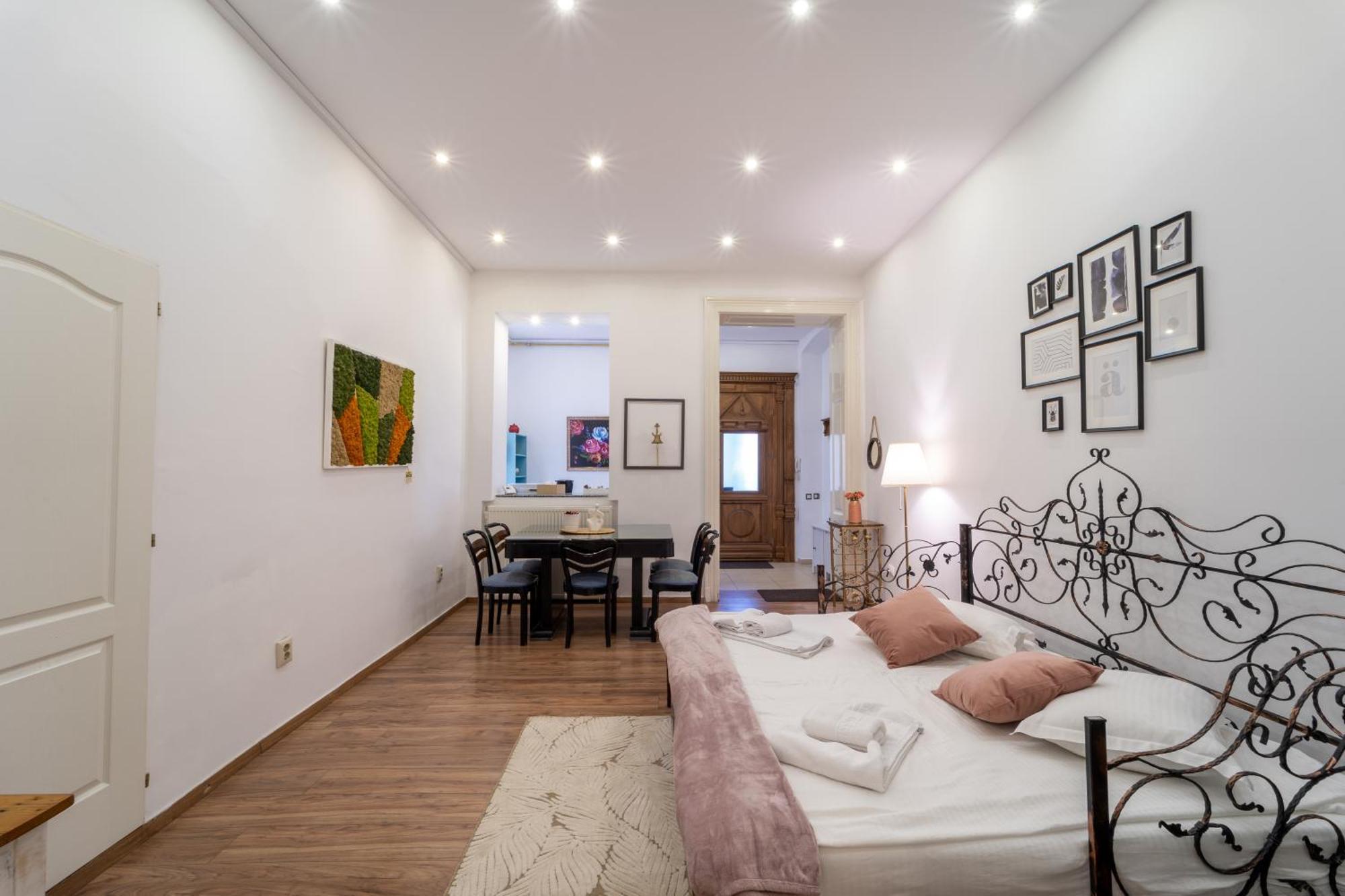 Cozy Spacious 5 Star Accommodation In The Heart Of Historic Center Κλουζ-Ναπόκα Εξωτερικό φωτογραφία